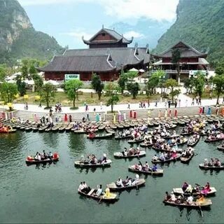 Bonobo: Nguồn Gốc Tiến Hóa Của Ngôn Ngữ Con Người?_Ý tưởng video ngắn
